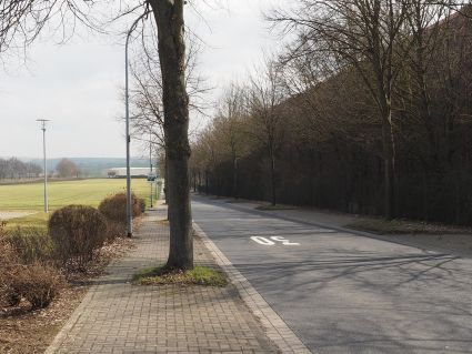 störende Bäume im Gehweg